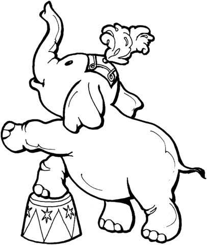 Baby Elephant In A Circus Coloring Page